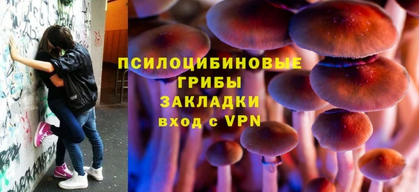 PSILOCYBIN Володарск